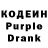 Кодеиновый сироп Lean Purple Drank Elvina Rolz