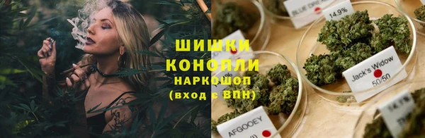МДПВ Абаза