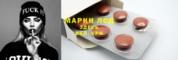 молекула духа Ладушкин