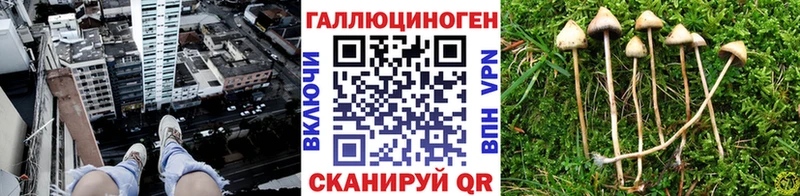Галлюциногенные грибы мицелий  закладка  Архангельск 